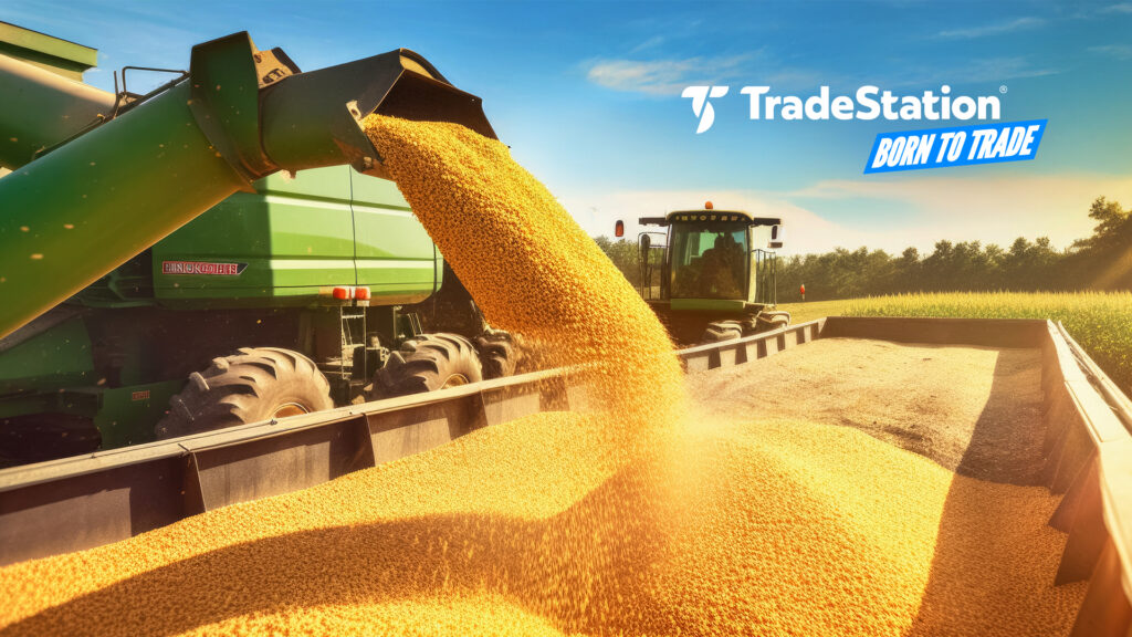 Micro Futures on Wheat, Corn, Soybean Products | Market Insights